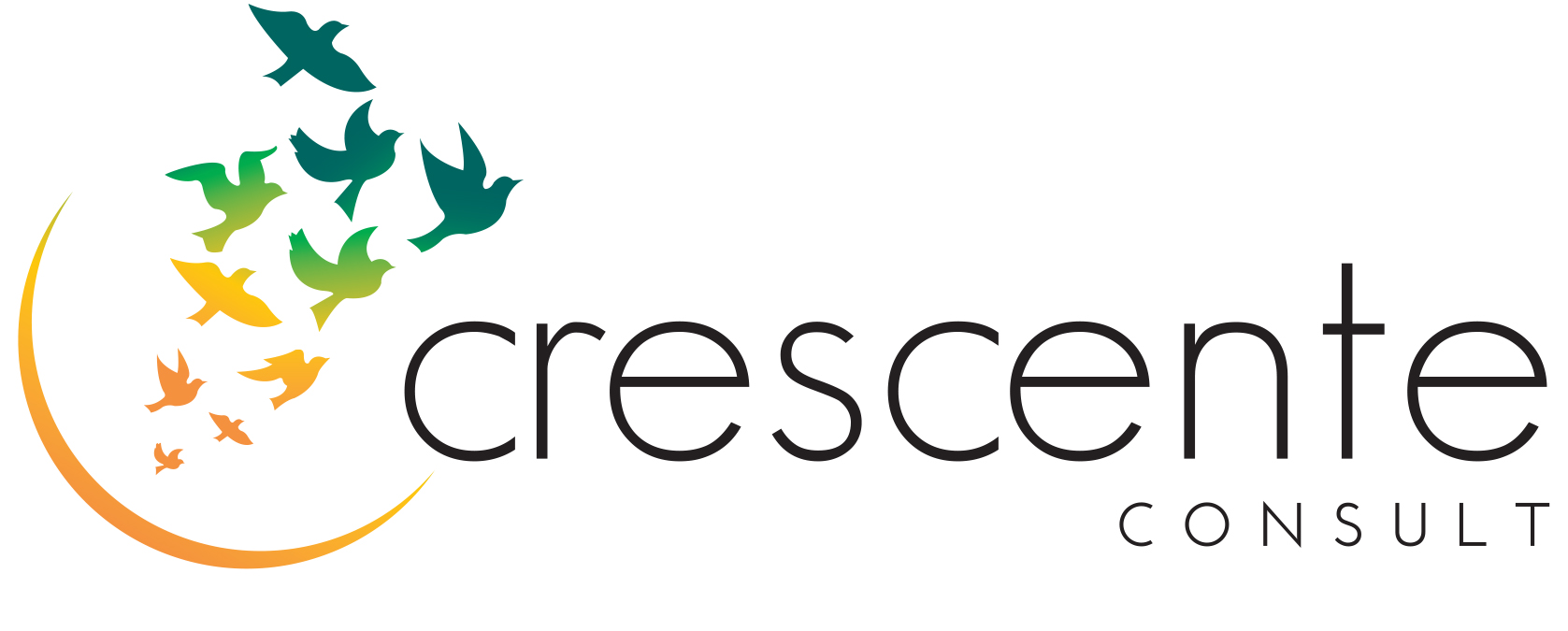 Logo Crescente Consult